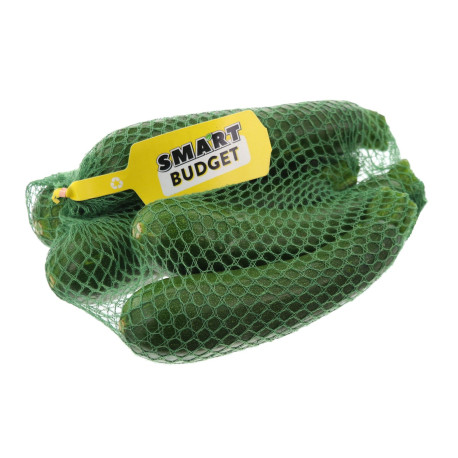 COURGETTE VERTE SMART 10X1KG